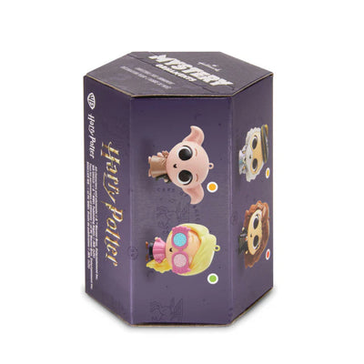 Hallmark Harry Potter™ Series 4 Mystery Shatterproof Ornament