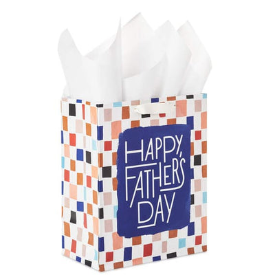 Colorful Checkerboard Medium Father's Day Gift Bag With Tissue Paper 9.6"