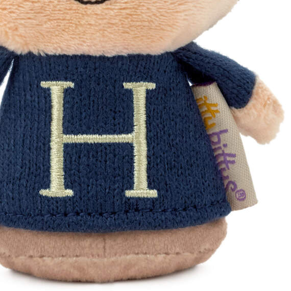 Harry Potter plush in blue sweater with "H" on it, round glasses, and messy hair.

