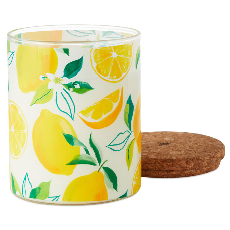 Hallmark Meyer Lemon and Lemon Zest Scented 2-Wick Jar Candle