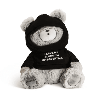 Teddy Bear - Leave Me Alone. I'm Introverting