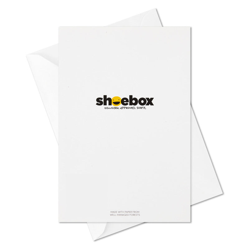 Funny All-Occasion Boxed Blank Cards Assortment, Pack of 12