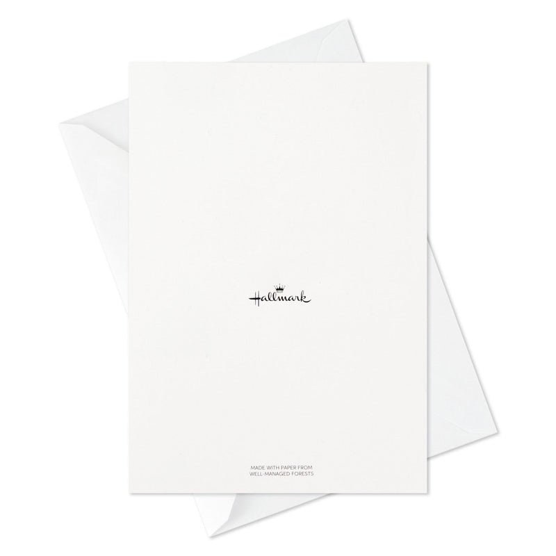 Funny all-occasion blank cards with avocado, watermelon, peach, dog and cat, and snake designs, Shoebox humor, includes envelopes, four assorted styles.
