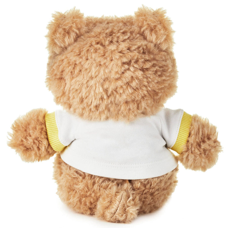 Welcome Baby Recordable Teddy Bear Stuffed Animal, 8.75"