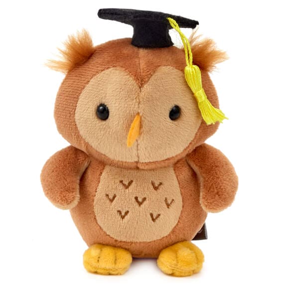 Stuffed owl wearing a black graduation cap with a yellow tassel