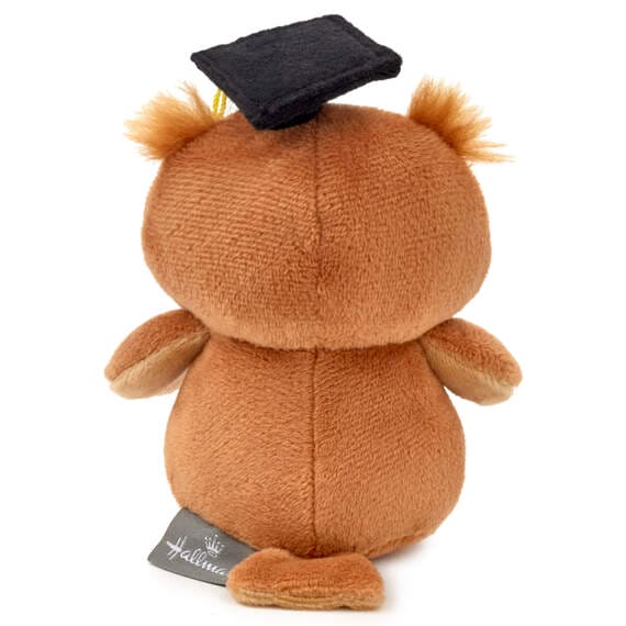 Stuffed owl wearing a black graduation cap with a yellow tassel