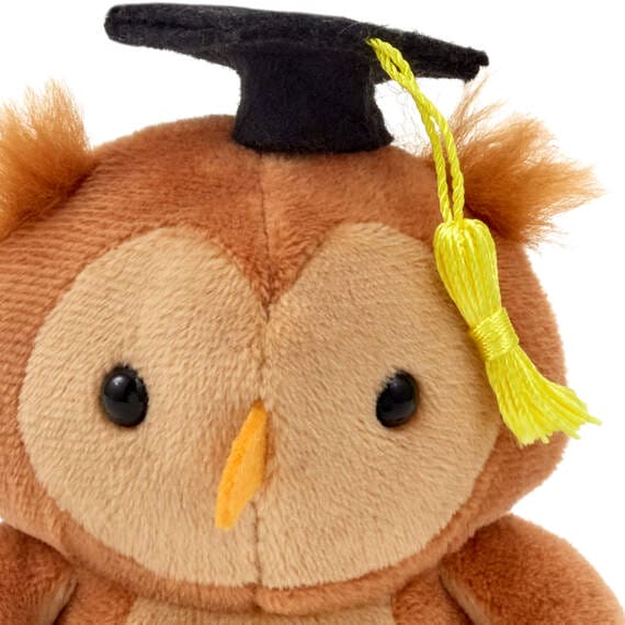 Stuffed owl wearing a black graduation cap with a yellow tassel