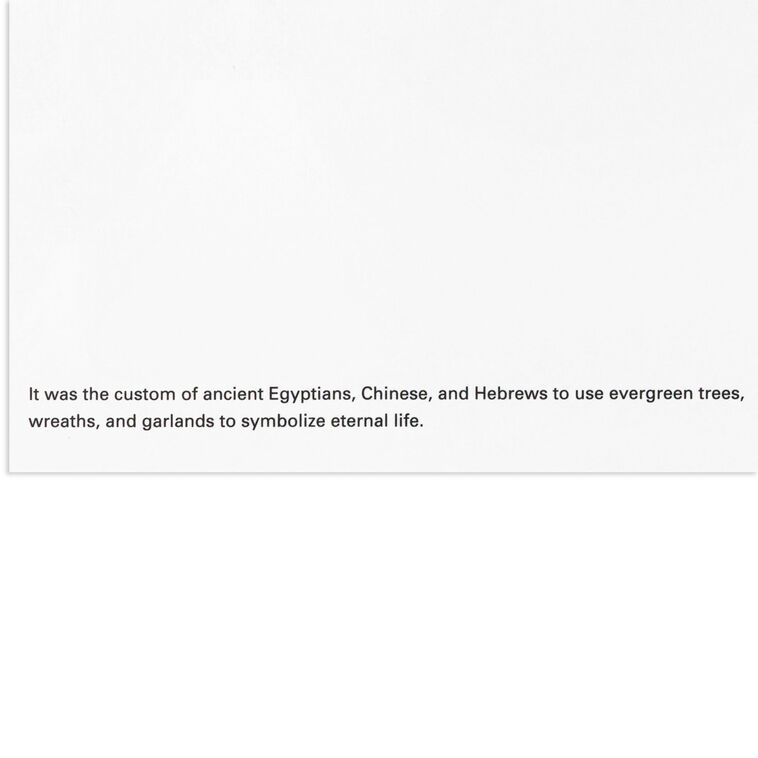 UNICEF Spruce Tree on Black Boxed Christmas Cards, Pack of 20