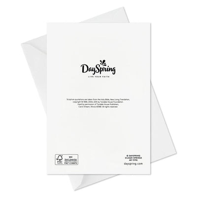 DaySpring Wintry Night With Cardinals and Church Boxed Christmas Cards, Pack of 16