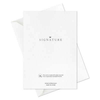 Poinsettias on Green Blank Boxed Christmas Cards, Pack of 12