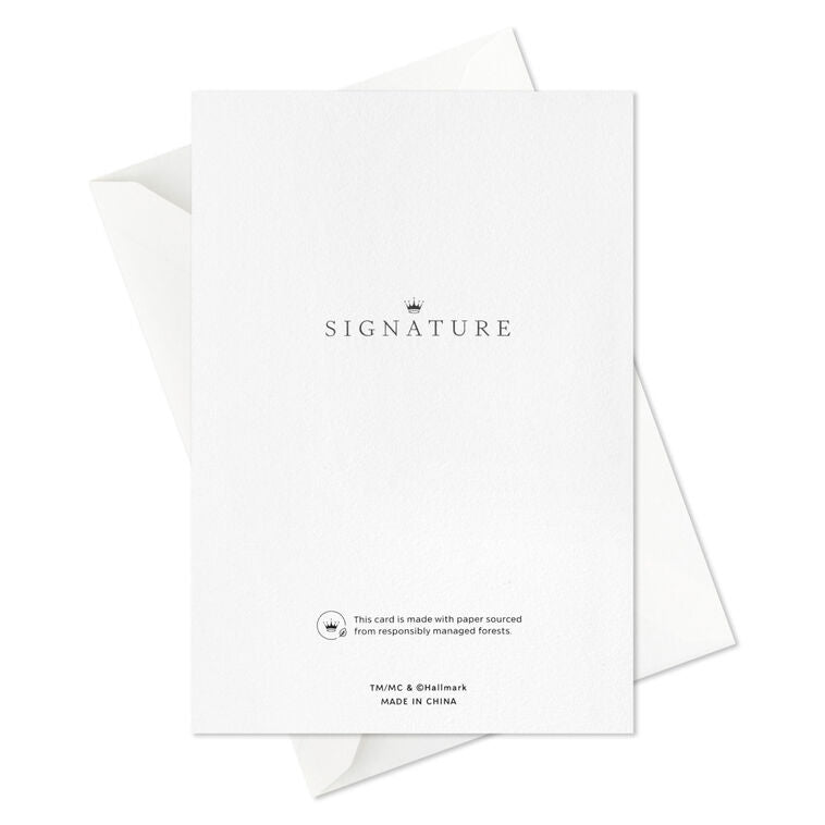 Poinsettias on Green Blank Boxed Christmas Cards, Pack of 12