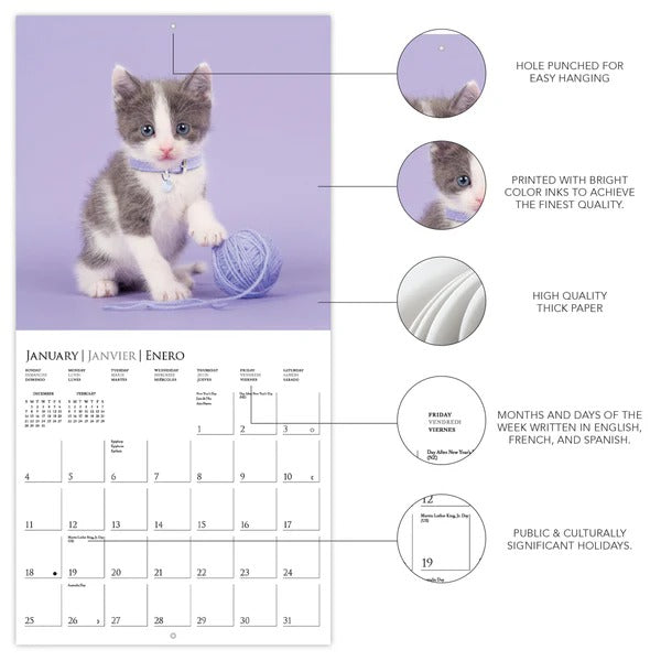 Cute Kittens 12 x 12 Wall Calendar