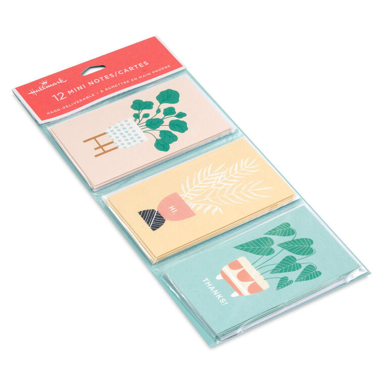 Mini blank note cards with pastel potted plant illustrations on colorful backgrounds, 12-pack with foil accents and matte finish.
