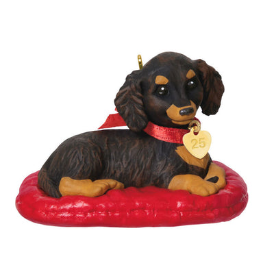 Hallmark Keepsake ornament of long-haired dark and light brown dachshund on red dog bed, red bow with 2025 heart charm