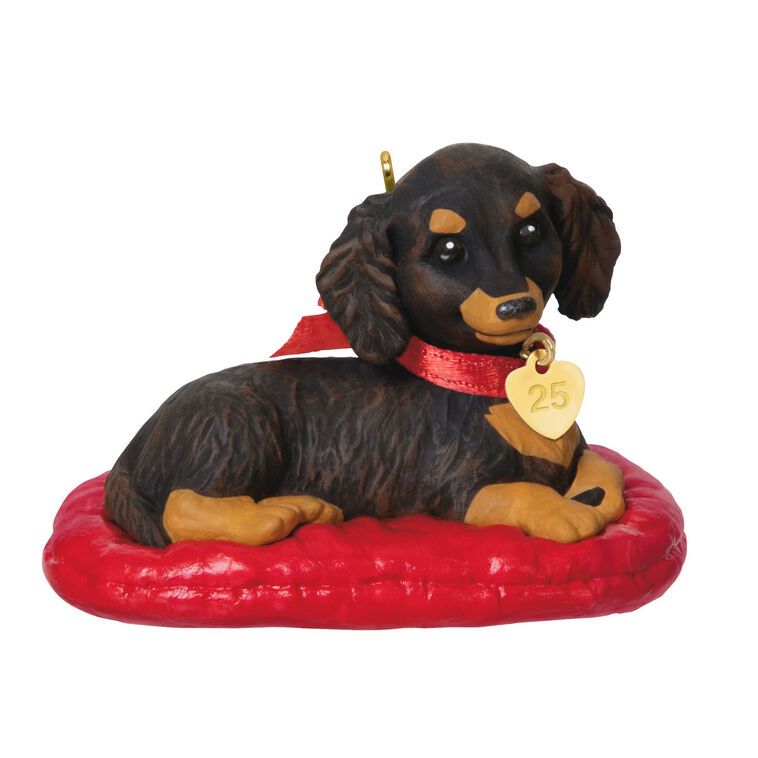 Hallmark Keepsake ornament of long-haired dark and light brown dachshund on red dog bed, red bow with 2025 heart charm