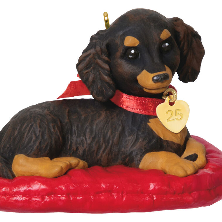 Hallmark Keepsake ornament of long-haired dark and light brown dachshund on red dog bed, red bow with 2025 heart charm