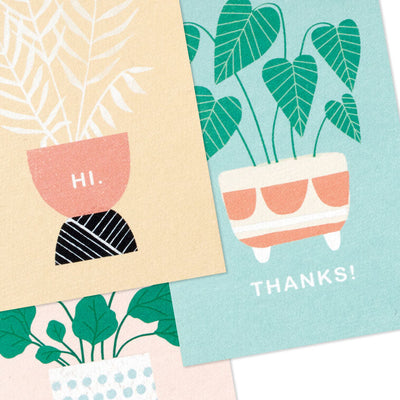 Mini blank note cards with pastel potted plant illustrations on colorful backgrounds, 12-pack with foil accents and matte finish.

