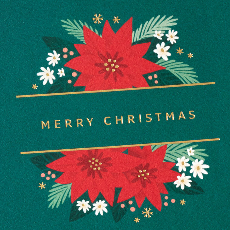 Poinsettias on Green Blank Boxed Christmas Cards, Pack of 12