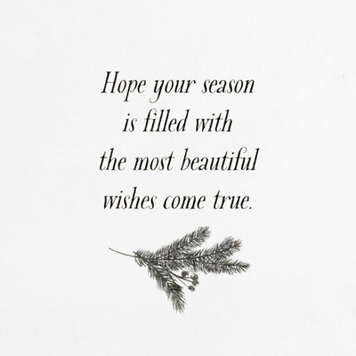 Elegant Poinsettia Boxed Christmas Cards, Pack of 16