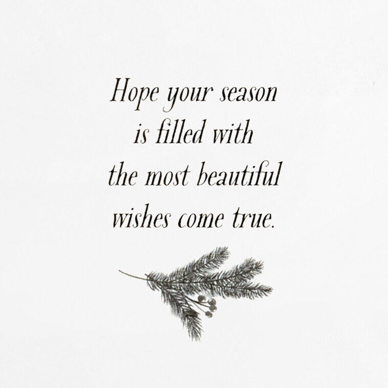 Elegant Poinsettia Boxed Christmas Cards, Pack of 16