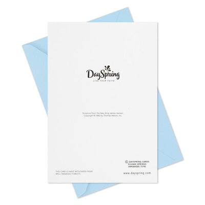 God's Love Religious Boxed Christmas Cards, Pack of 16