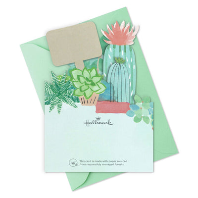 Die-cut thank-you cards with fold-out illustrated potted succulents and cacti in display-ready shapes.
