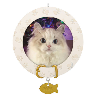 Cat photo frame ornament with paw prints, fish charm, and year-dated 2025 collar design for feline Christmas keepsake

