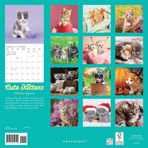 Cute Kittens 12 x 12 Wall Calendar