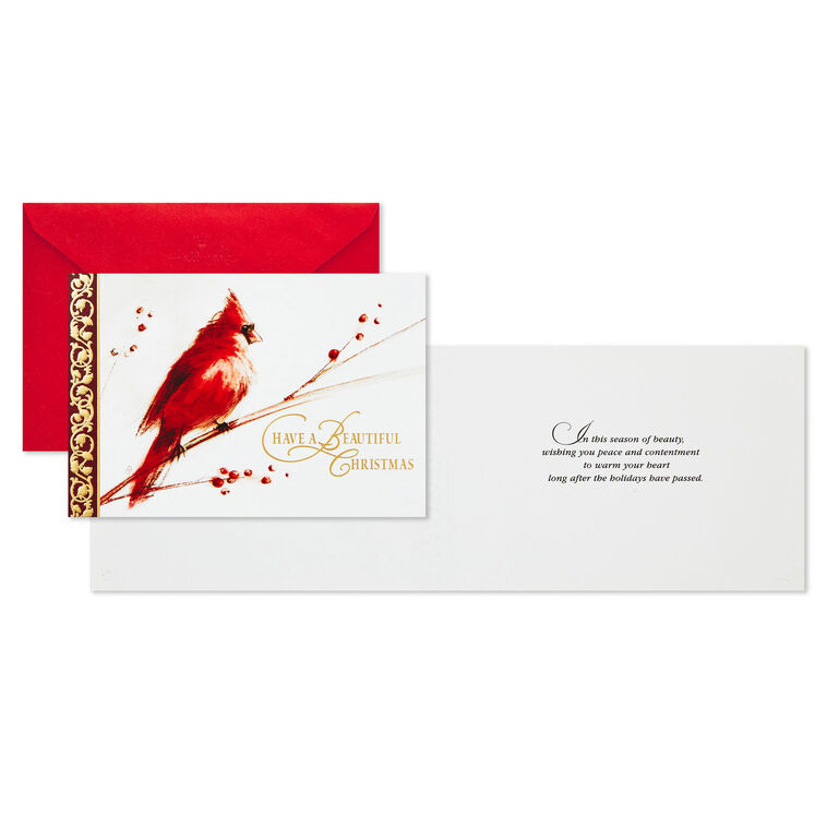 Cardinal on Branch Boxed Christmas Cards, Pack of 40