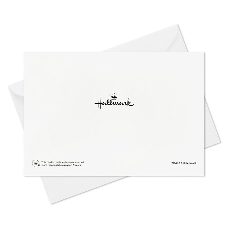 Classic Home Boxed Christmas Cards, Pack of 40