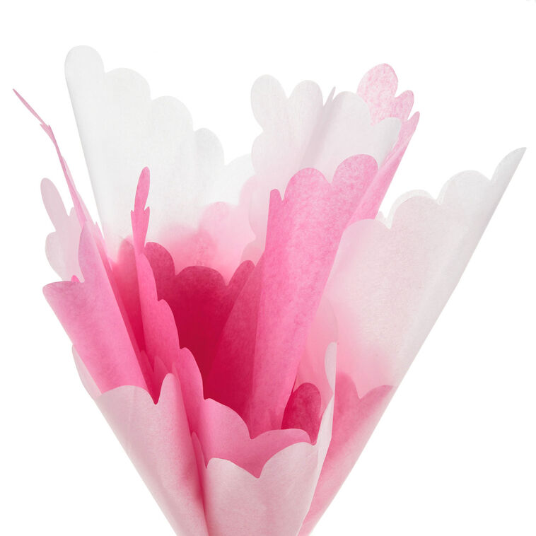 Scalloped Solid Pink and White 2-Pack Tissue Paper, 4 sheets