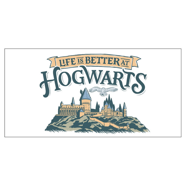 Harry Potter™ Hogwarts™ Collectible Drinking Glass, 13.5 oz.