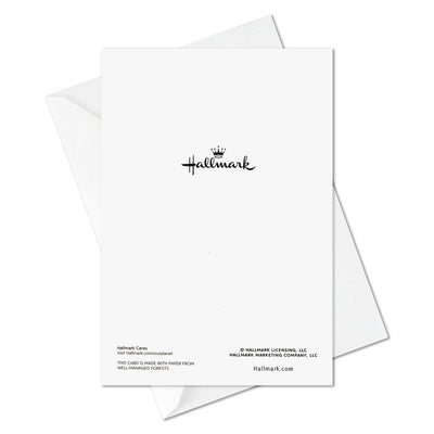 Wreath With Gold Berries Boxed Christmas Cards, Pack of 16