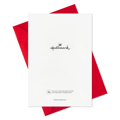 Embrace the Chaos Boxed Christmas Cards, Pack of 16