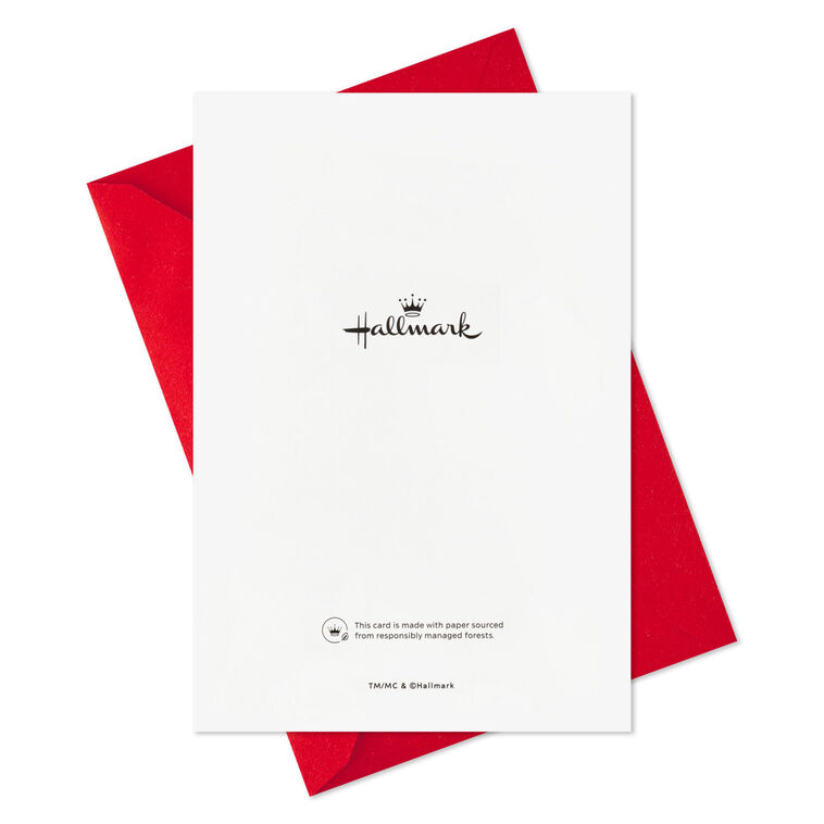 Embrace the Chaos Boxed Christmas Cards, Pack of 16