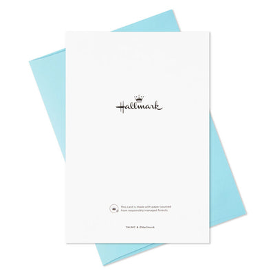 Journey Through the Season Boxed Christmas Cards, Pack of 16