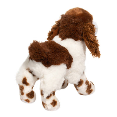 Flair Springer Spaniel