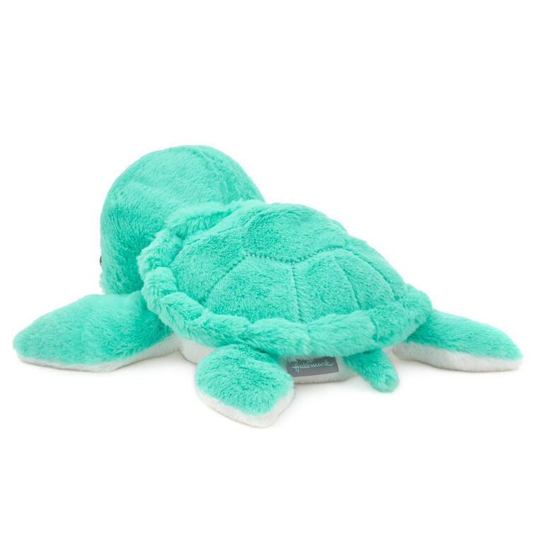 Turquoise sea turtle plush toy with soft white belly, perfect for snuggling, ocean-themed nurseries