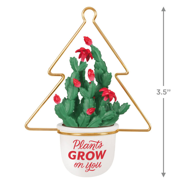 Christmas cactus ornament with red blooms in white planter and gold wire hanger, botanical holiday decor

