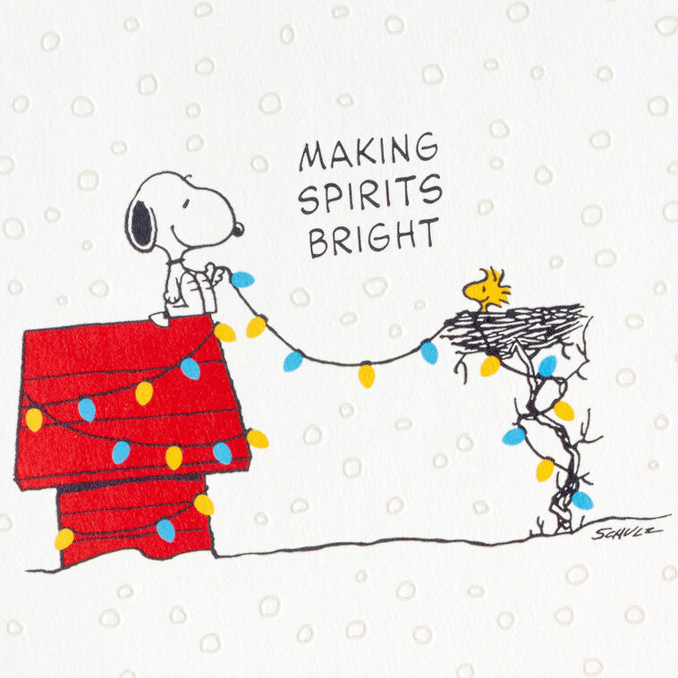 Peanuts® Snoopy and Woodstock Hanging Lights Boxed Christmas Cards, Pack of 16