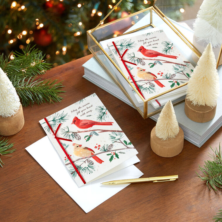 Cardinals on Pine Branches Boxed Christmas Cards, Pack of 12