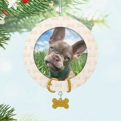 Dog photo frame ornament with bone-shaped charm and collar design, year-dated 2025 for pet’s first Christmas keepsake

