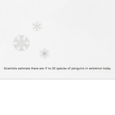 UNICEF Cute Critter Pyramid Boxed Christmas Cards, Pack of 12