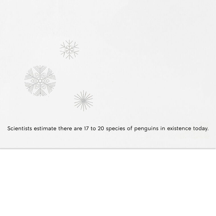 UNICEF Cute Critter Pyramid Boxed Christmas Cards, Pack of 12