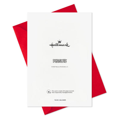 Peanuts® Snoopy and Woodstock Hanging Lights Boxed Christmas Cards, Pack of 16