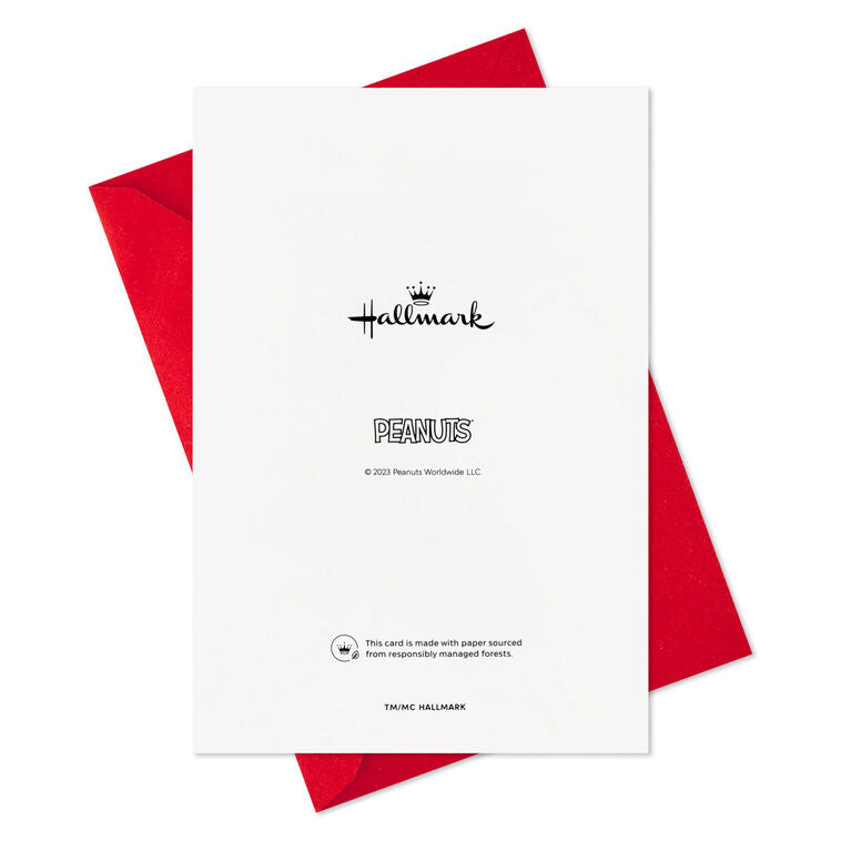 Peanuts® Snoopy and Woodstock Hanging Lights Boxed Christmas Cards, Pack of 16