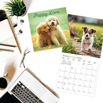 Puppy Love 12 x 12 Wall Calendar