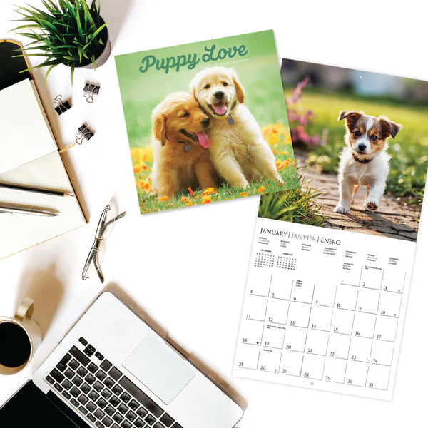 Puppy Love 12 x 12 Wall Calendar