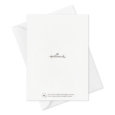 Soft pastel greeting card booklet with potted plant design on blush cover, includes 12 assorted all-occasion cards with modern illustrations and messages.
