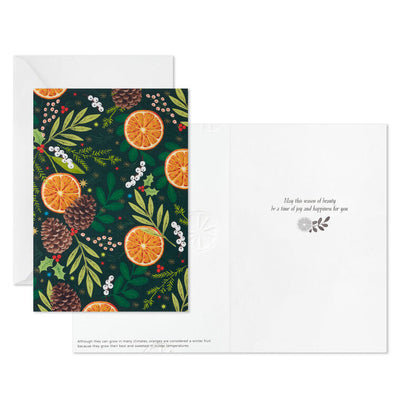 UNICEF Lush Citrus and Botanicals Boxed Christmas Cards, Pack of 20